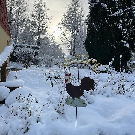Sander Guest house 3*